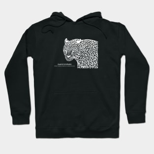 Amur Leopard with Common and Scientific Names - big cat design Hoodie